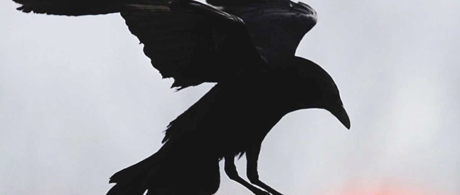 GettyImages-147718957-afbb1d2